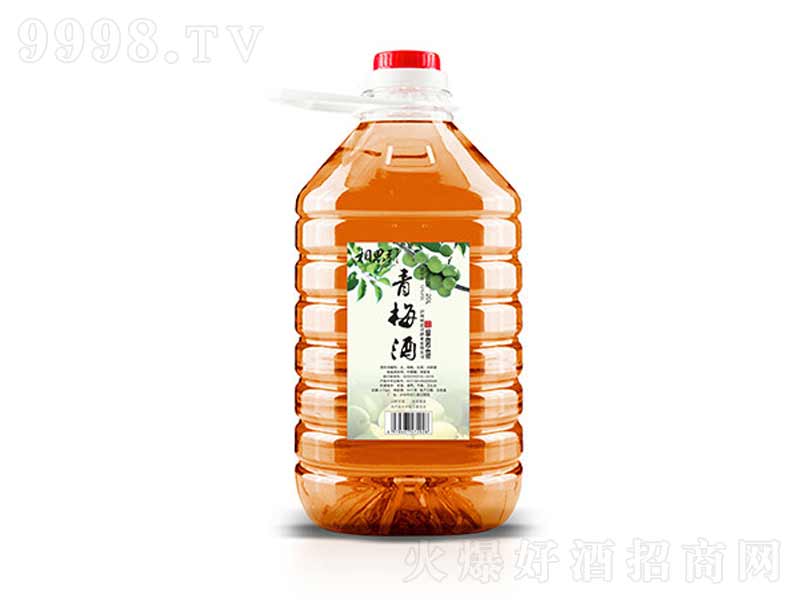 ��˼������÷�ƹ��ơ�12��20L��