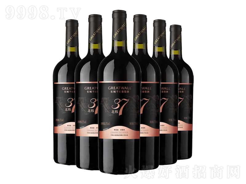 �L�Ǽt�ƾ��x����ϼ��ɼt���Ѿ�750ml-�t�����Ϣ