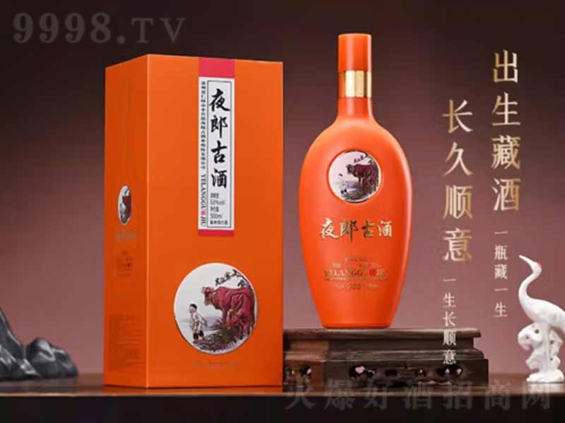 ҹ�ɹž��F��é�_悴���u���;�ţ����Ф�桾53��500ml��