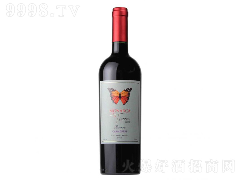 �����m������ȿ�������ؼ����ȼt���ѾƼt�ơ�750ml��
