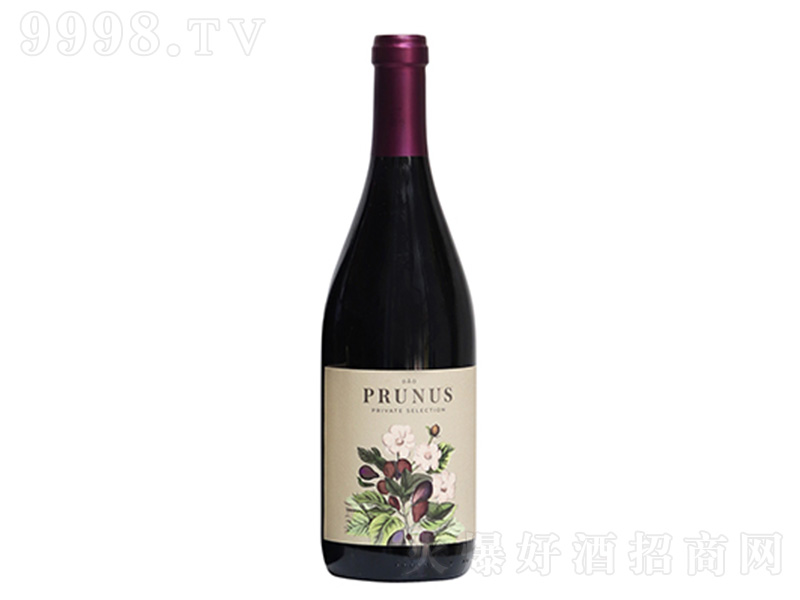 �������ŊW�a�^(q��)���������Z���x�ɼt���Ѿơ�750ml��