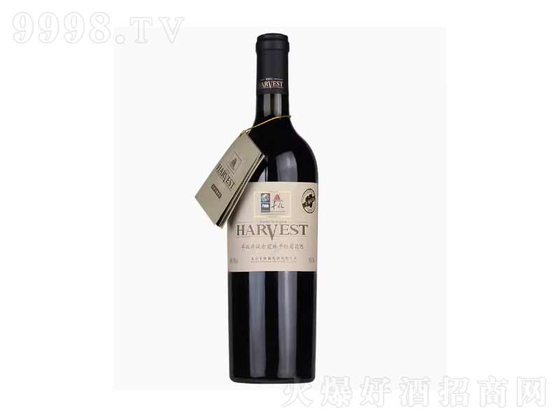 �S���tժ��Ʒ��ϼ��ɼt���Ѿơ�13��750ml��