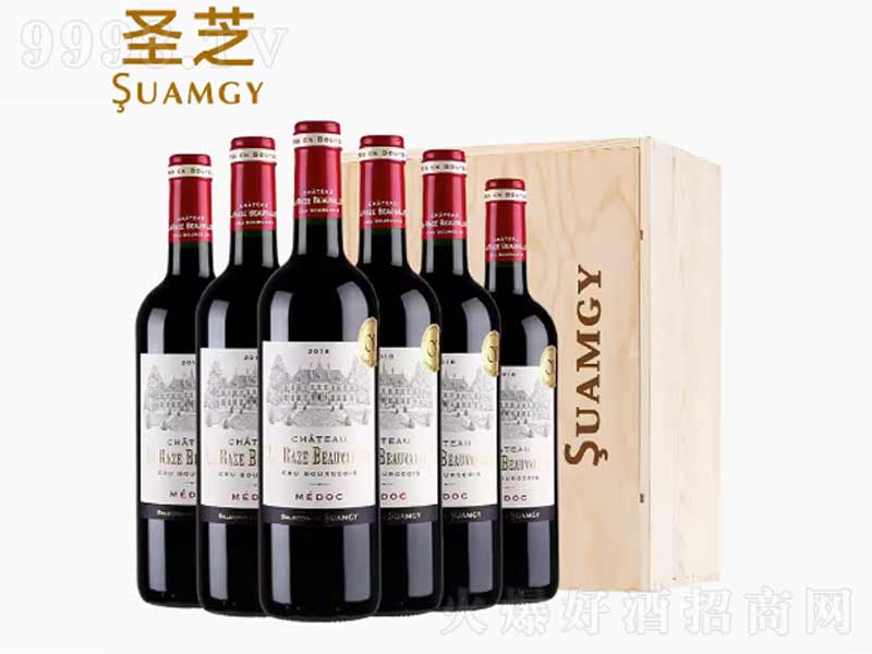 ʥ֥�м��f�t�Ʋ�����÷���AOC�ɼt��ϼ�����Ѿ�750ml