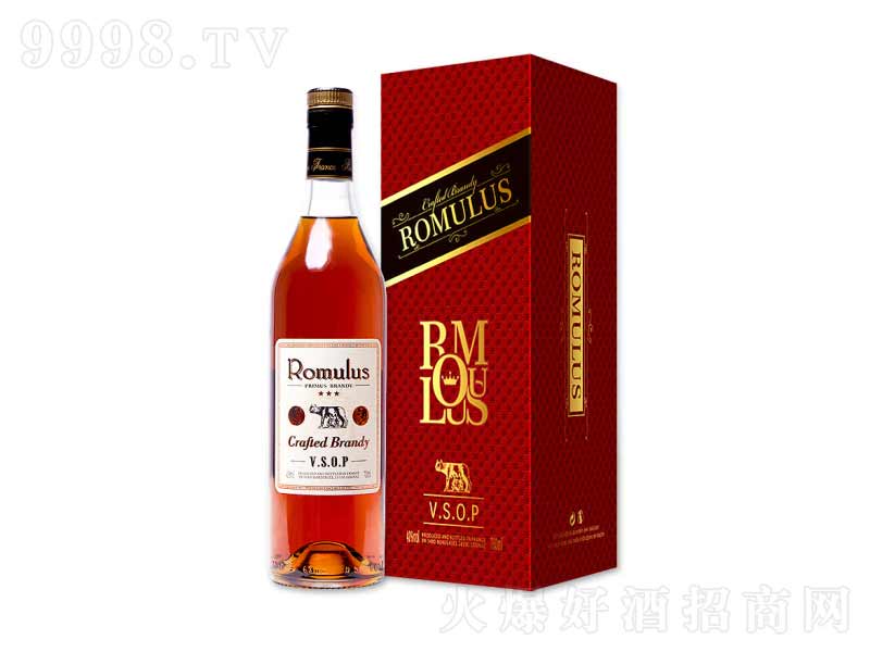 ��Ʒ���(gu��)ԭƿ�M(j��n)���_Ľ·˹vsop���m�ء�40��700ml��-�t���(l��i)��Ϣ