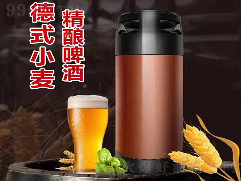 �������ơ�Ƶ�ʽС����20L��
