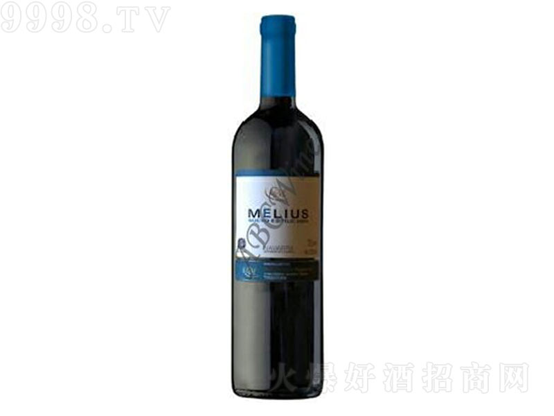 ����˹��Ʒ2004�ɼt���Ѿơ�13��750ml��