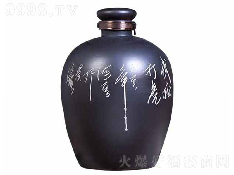 ��Ɖ�ϵ��JT-095