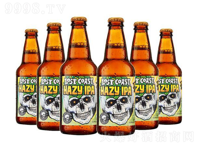 ��ʧ���������ʧ���`����IPAơ�ơ�6.7�� 355ml��-ơ��������Ϣ