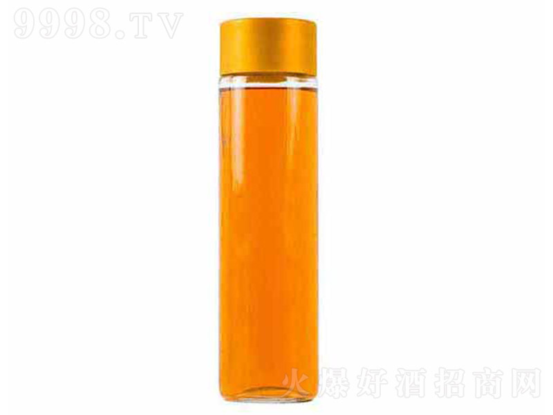 ����ƿϵ��GJ-027