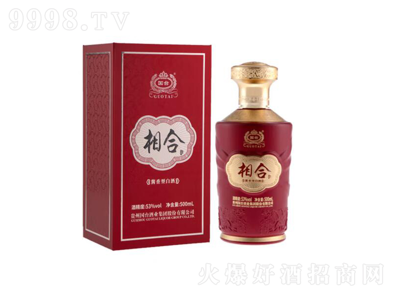 ���_��Ͼ��u���͡�53��500ml��