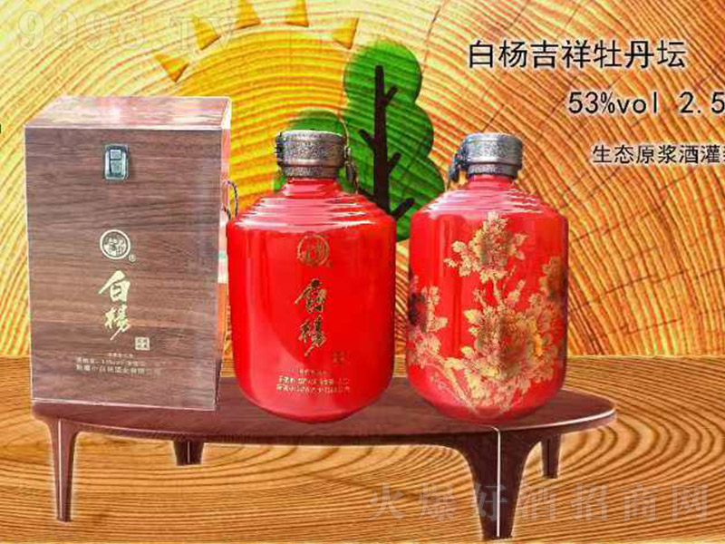 �ח�Ƽ���ĵ�������t �����͡�53�� 2.5L��