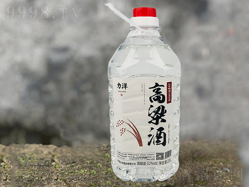 ��������ơ�52��2.5L��