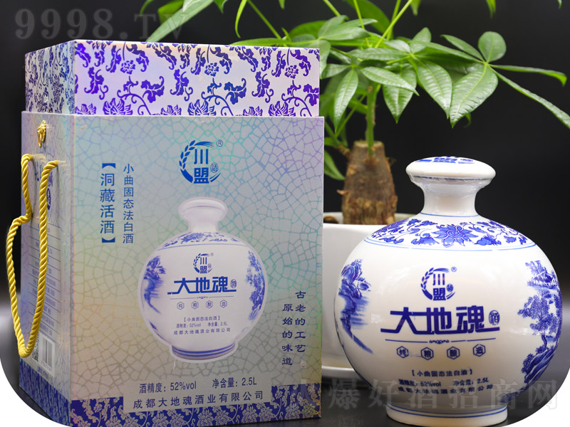 ��ػ���໨�ɾ������͡�52��2.5L��
