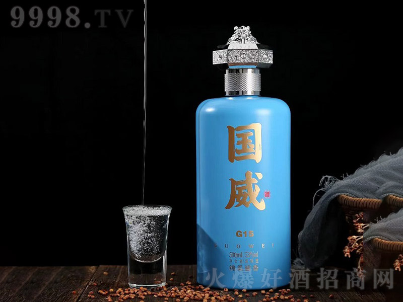 �F��ӭ�e�Ƈ���G15 �u���͡�53�� 500ml��
