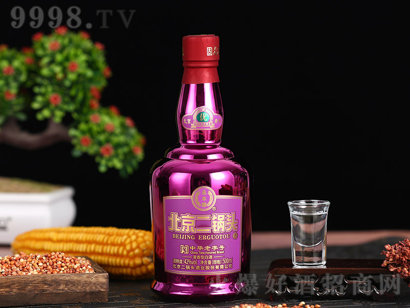 ���S�ڡ��Ͼ� �����͡�42��500ml��-�׾����Ϣ