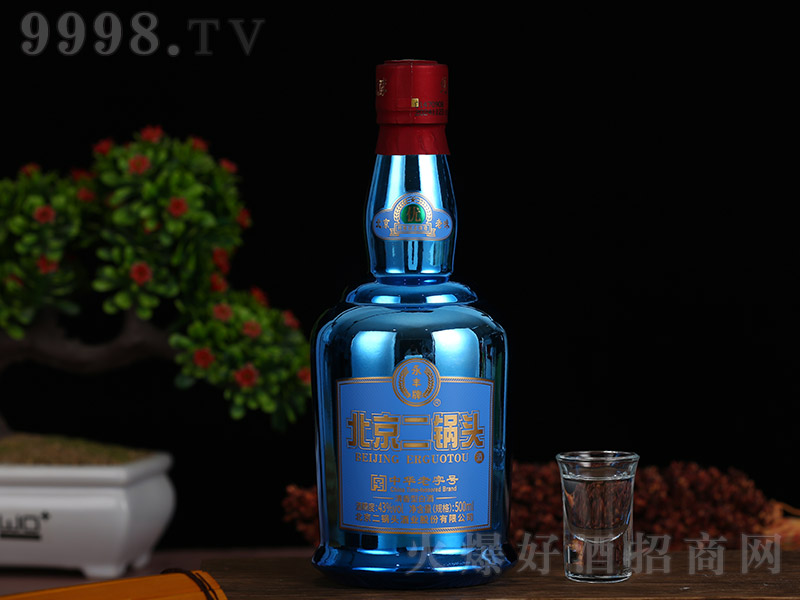 ���S�ڡ��{�� �����͡�43��500ml��-�׾����Ϣ