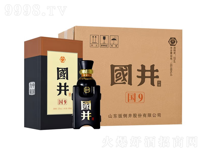 �����׾Ƈ�����9�u�㡾53��480mL��