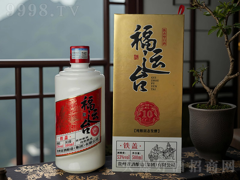 ���\�_���F�w10 �u���͡�53�� 500ml��