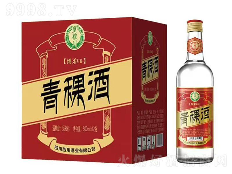 �ʼZ�������ƾd��V6 �����͡�42�� 500ml��12��-�׾����Ϣ