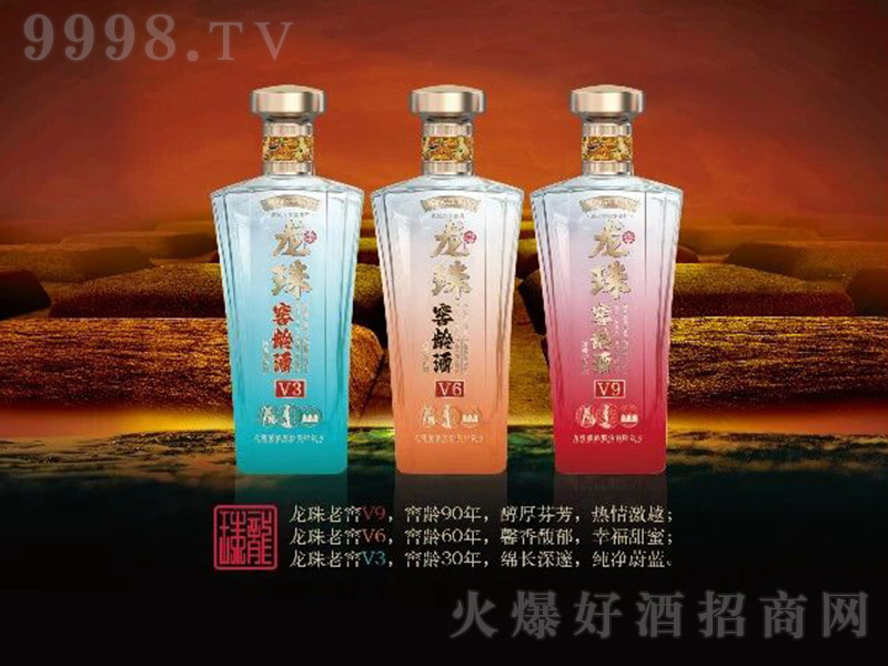 �����Ͻ�Vϵ�� �u���͡�53��500ml��