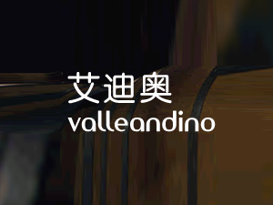 �B�T��Ԋ�Q�����޹�˾