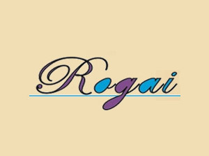 �B�T���s���ƘI���޹�˾