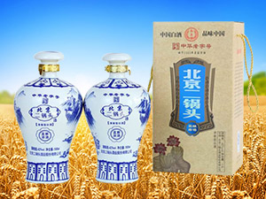 ��������^�ɷ����޹�˾ϵ�ЮaƷ