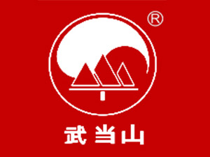�����䮔(d��ng)����ƘI(y��)���޹�˾