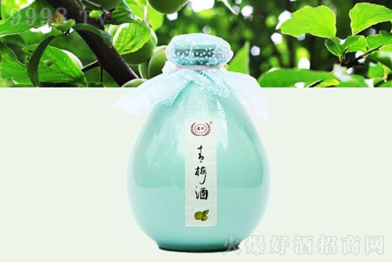12���S�ϻ����ƃr���S����÷�Ʋʉ��ͶȻ�����500ml�r�񣬶����X��