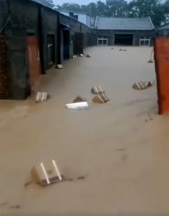 ���ݱ��꣬��é�_�Ј���ʲôӰ푣�