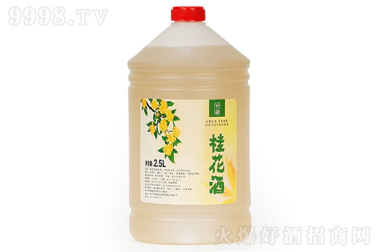 10�㰲��(w��n)�𻨾� Ůʿ�ƵͶ���Ƽ�ͥ�������2500ml�r�񣬶����X��