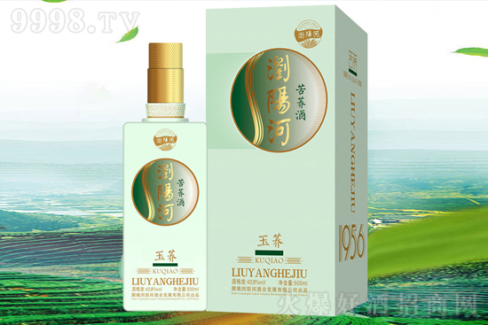 ���l(f��)�F(xi��n)�þơ��gꖺӿ��w�ƣ��������M(f��i)���x�񣬺ȵ����ģ��ȵķ��ģ�