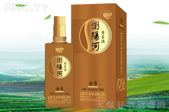 ���l(f��)�F(xi��n)�þơ��gꖺӿ��w�ƣ��������M(f��i)���x�񣬺ȵ����ģ��ȵķ��ģ�