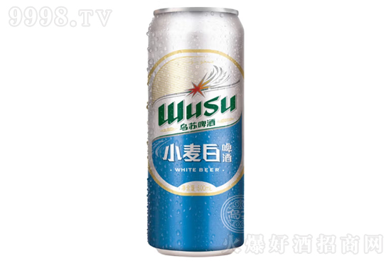 9.8����KС����ơ��500ml�r�񣬶����X��
