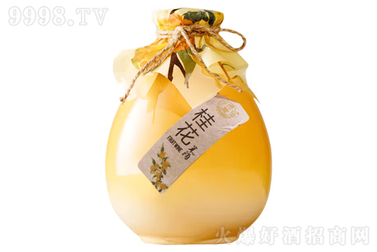 6����һ�ҹ��׾�500ml�r�񣬶����X��