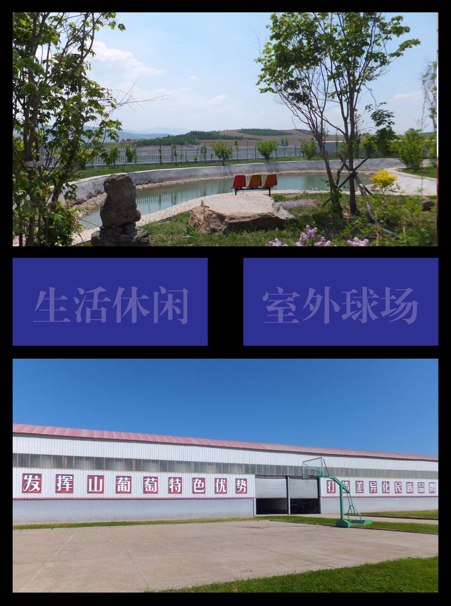 ����Դ֮�����ѾƾƘI(y��)���޹�˾
