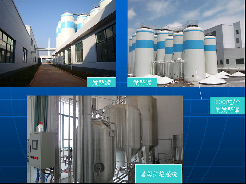 贛泉啤酒