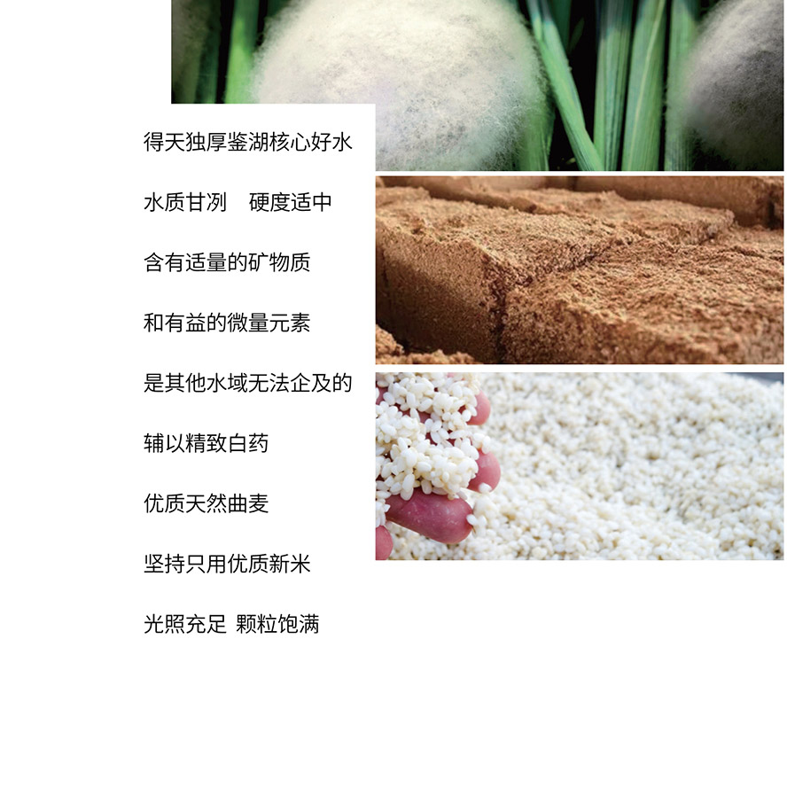 �мZ���Ҽ��ƘI���޹�˾