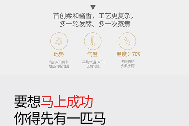ˇ�g�YƷ���R���ɹ��u���Ͱ׾ơ�52��750ml��