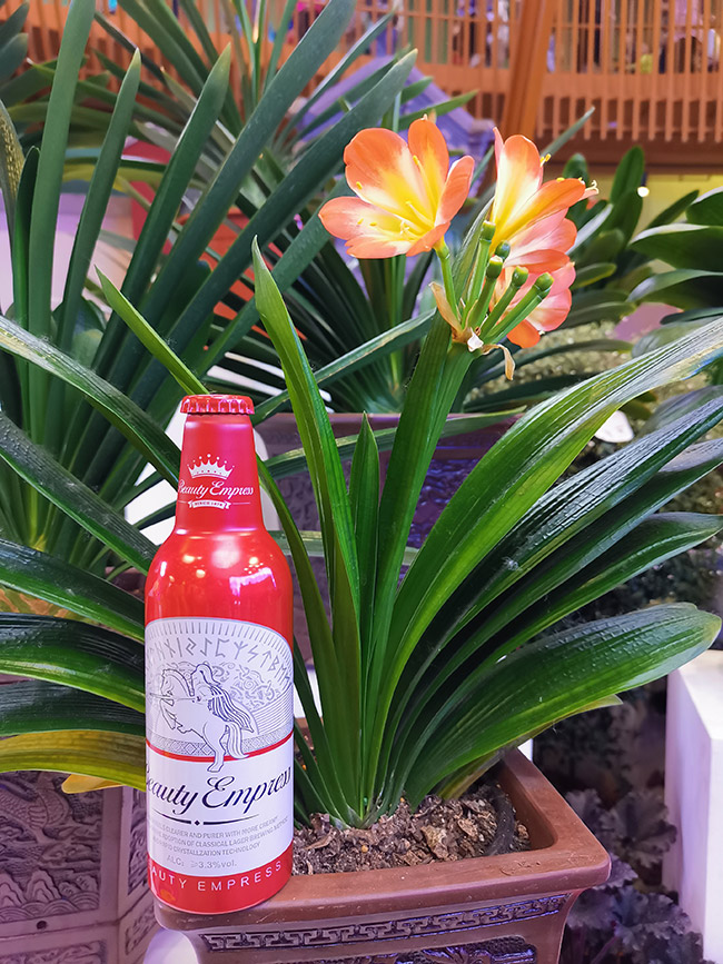 Ӣ���� ��t�ơ�ơ�9��355ml��