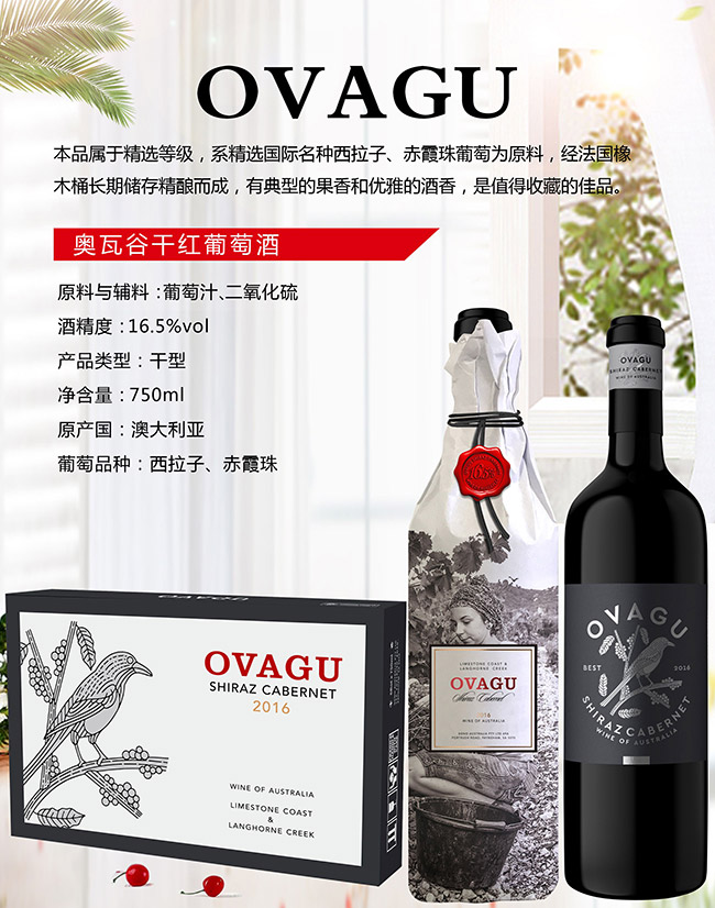 �W�߹ȸɼt���Ѿơ�16.5��700ml��