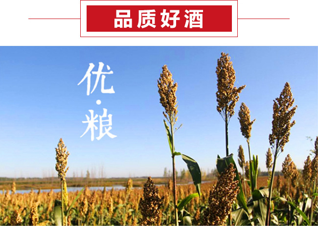 �w퍺ڿ��w��