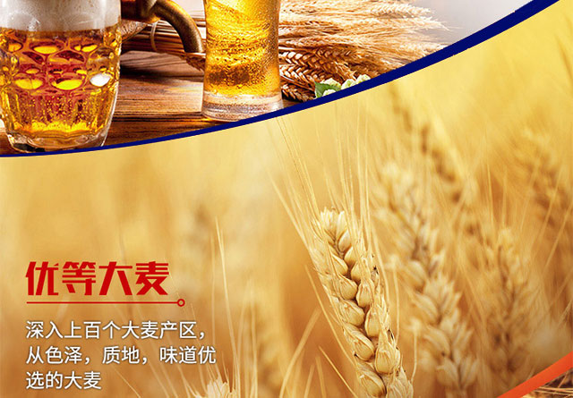 貝哈瑞黑啤500ml×12罐(箱)
