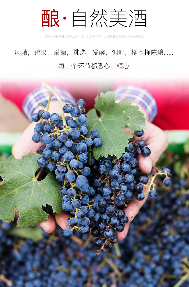 類人首R(shí)6干紅葡萄酒
