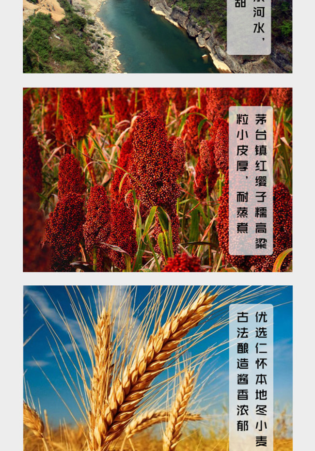 臺井泉酒百福