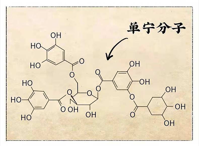 國臺醬酒 醬香型白酒【53度 500ml】
