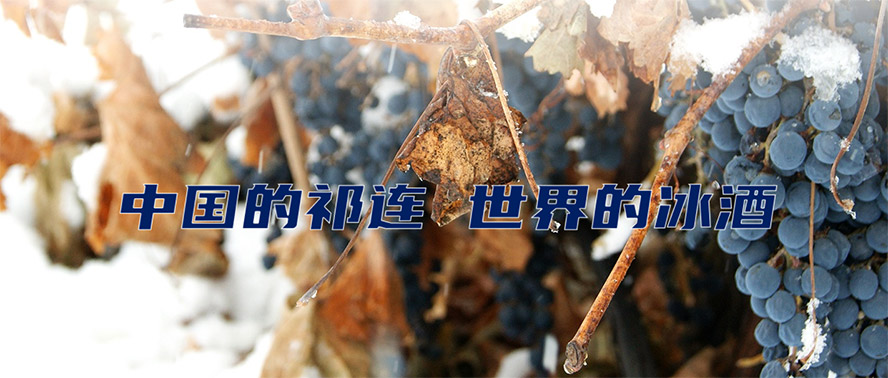     ���C���B���ѾƘI����؟�ι�˾���aƷ�������С�
