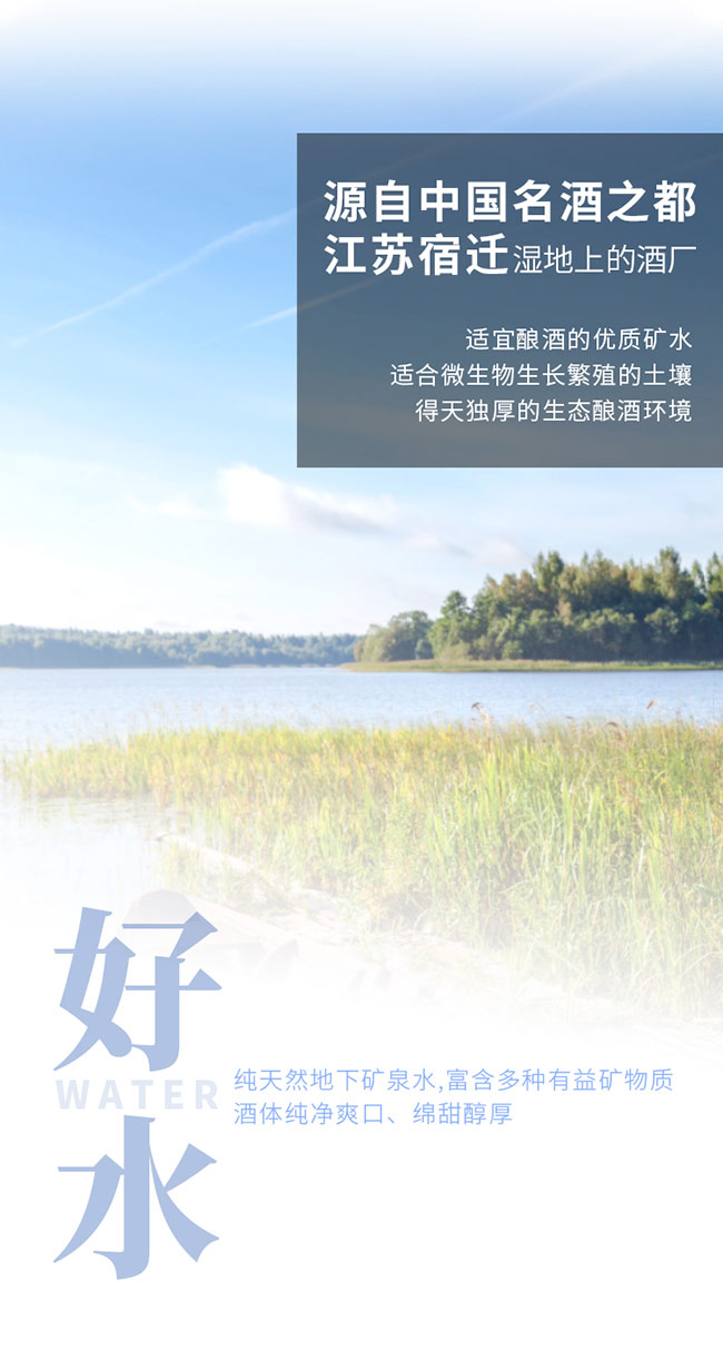 對白青春金尚醉美口糧酒 濃香型白酒【42度 500ml】